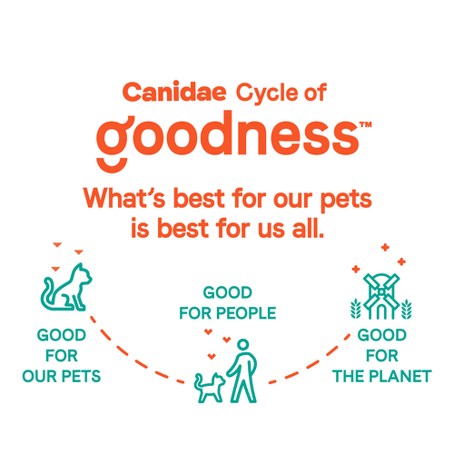 Canidae® Goodness for Joints Formula with Real Salmon Dry Cat Food (5-lb)