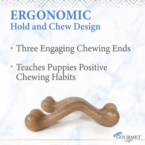 Nylabone Gourmet Style Strong Wishbone Puppy Chew Toy (Small/Regular - Up to 25 lbs)