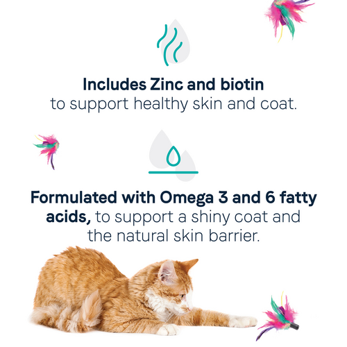 Canidae® Goodness for Skin & Coat Formula with Real Salmon Dry Cat Food