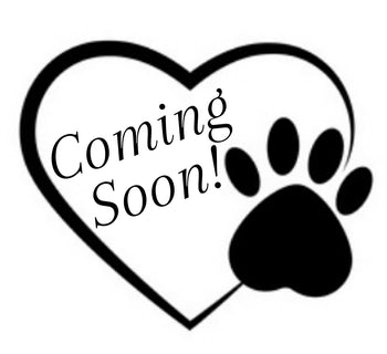 Breed:🐾 DOB:, Sex:, Color: , Reg: , Fixed: No, Call Mesa Pratts Pets for more information at (480) 361-7000