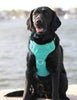 Baydog Chesapeake Dog Harness