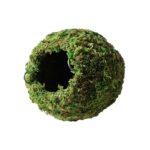 Galapagos Green Mossy Cave Diameter (6)