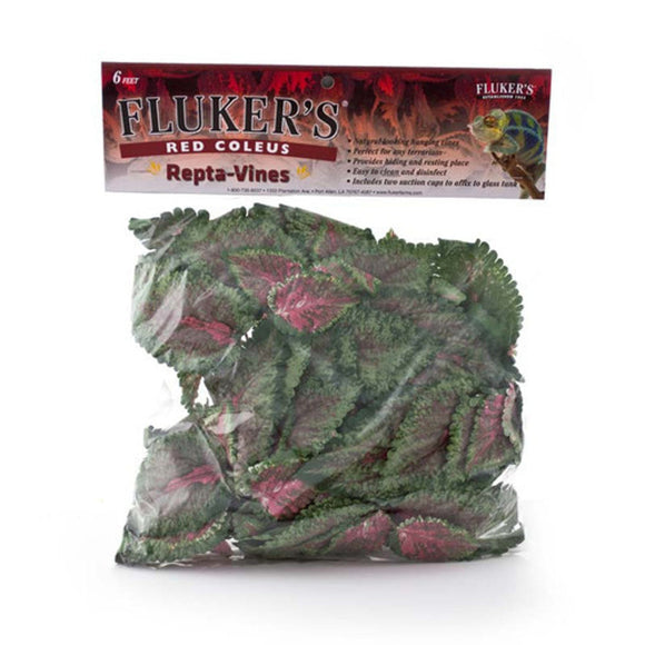 Fluker's Red Coleus Repta-Vines (Red Coleus)