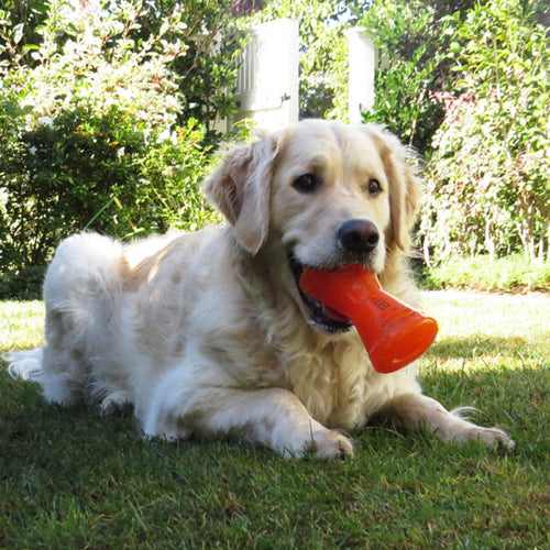 Bionic Bone Dog Toys