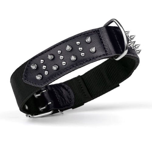 Dogline Leather + Nylon Spike Collar (W1 3/4 L20-25, Black)