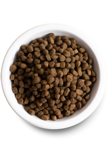 Open Farm Harvest Chicken & Ancient Grains Dry Dog Food