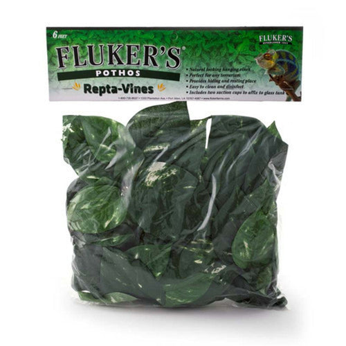 Fluker's Pothos Repta-Vines