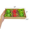 Exotic Nutrition NativeCritter Garden Dig Box