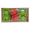 Exotic Nutrition NativeCritter Garden Dig Box