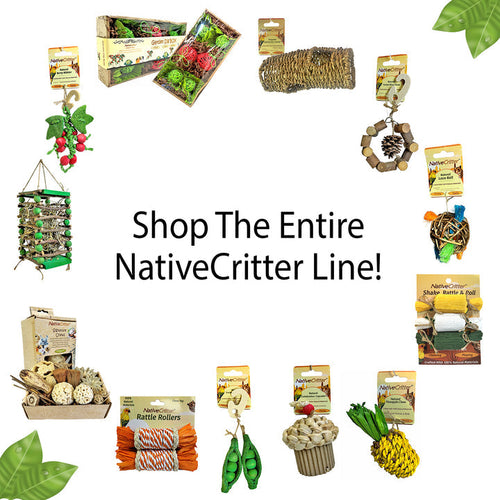 Exotic Nutrition NativeCritter Garden Dig Box