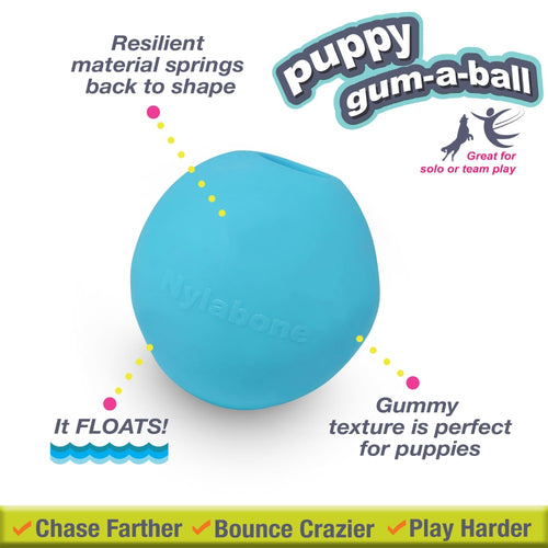 Nylabone Power Play Puppy Gum-a-Ball