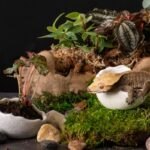 Galápagos Egg Dishes