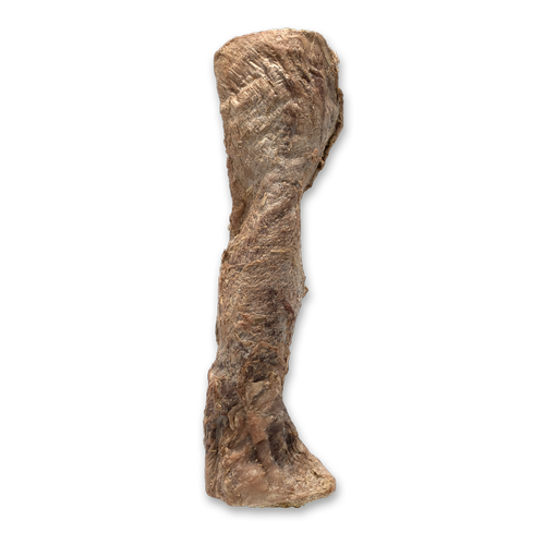 Bones & Co. Freeze-Dried Beef Esophagus