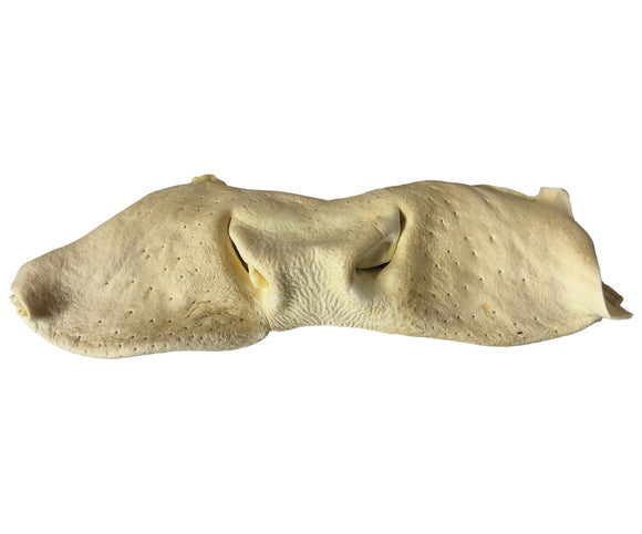 Great Lakes Pet Treats Cow Snout Puffed