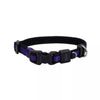 Coastal Pet Products Inspire Adjustable Dog Collar