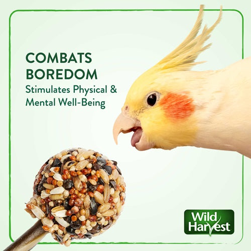 Wild Harvest Bake Shop Seed Pops for All Birds