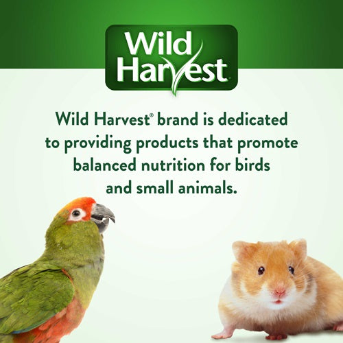 Wild Harvest Bake Shop Seed Pops for All Birds
