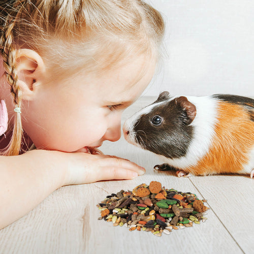 WILD HARVEST Trail Treats for Small Animal