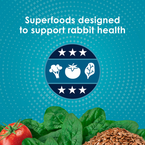 Kaytee Forti-Diet Pro Health Nourish+Protect Juvenile Rabbit Food