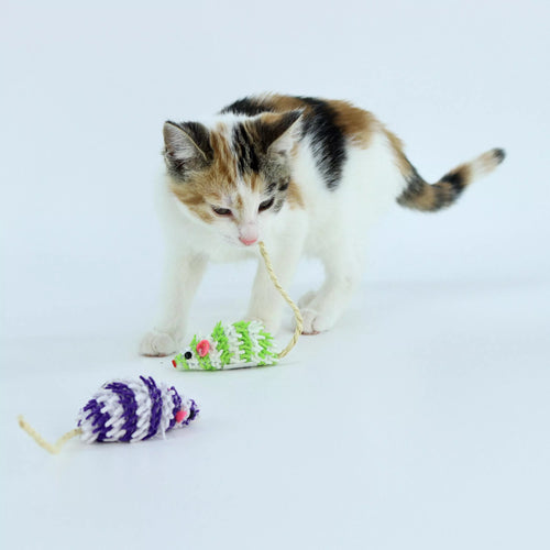 Coastal Pet Turbo Mop Mice Bulk Cat Toy Bin