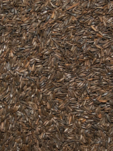 Volkman Nyjer® Seed 6