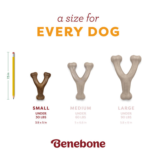 BENEBONE Wishbone Pumpkin Spice