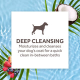 TropiClean Deep Cleansing Waterless Dog Shampoo