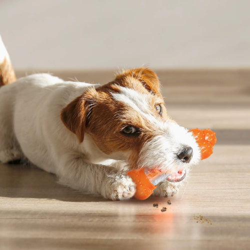 Nylabone Sneaky Snacker Dog Treat Toy