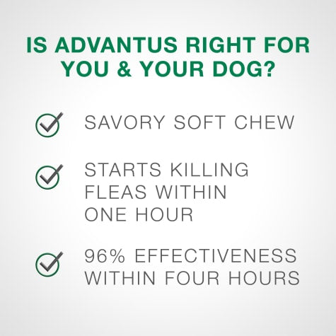 advantus® Small Dog Chew (7ct)