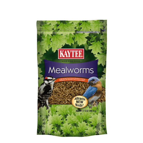 Kaytee Mealworms
