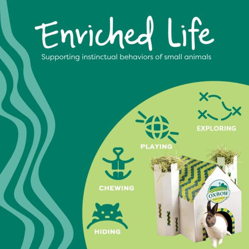 Oxbow Animal Health Enriched Life - Stretch N Snuggle