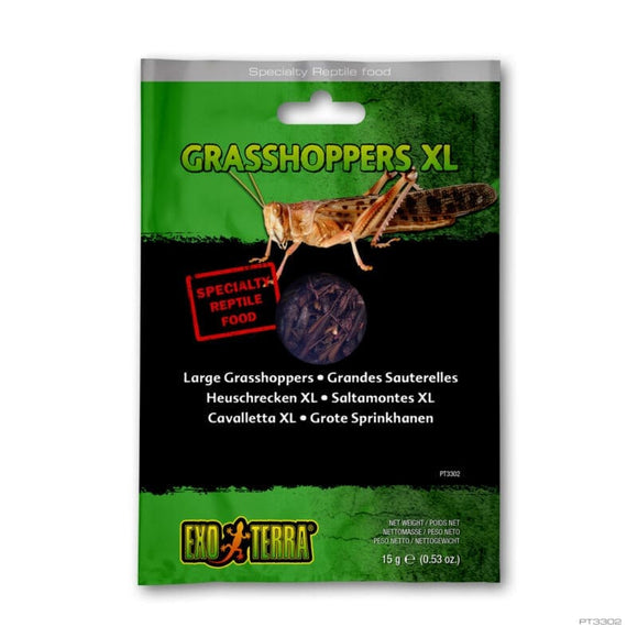 Exo Terra Grasshoppers XL