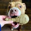 Bullymake Drumstick Nylon Dog Toy For Power Chewers (Nylon)