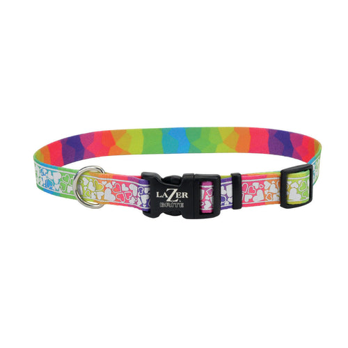 Coastal LazerBrite Patterned Collar