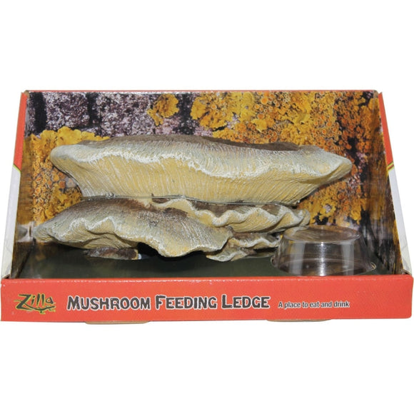 Zilla Vertical Mushroom Feeding Ledge